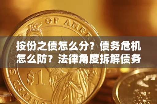 武汉按份之债怎么分？债务危机怎么防？法律角度拆解债务分配与风险自保指南