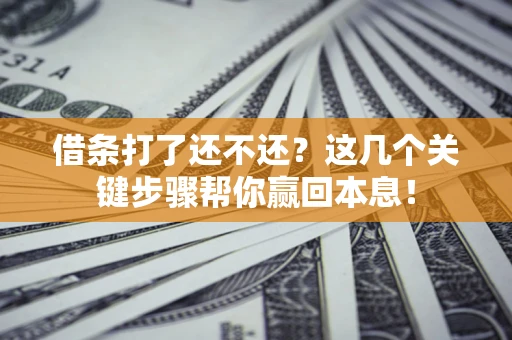 武汉借条打了还不还？这几个关键步骤帮你赢回本息！