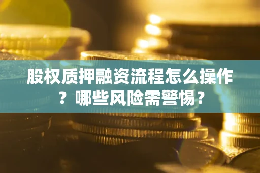 武汉股权质押融资流程怎么操作？哪些风险需警惕？