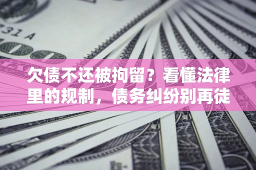 武汉欠债不还被拘留？看懂法律里的规制，债务纠纷别再徒劳奔波