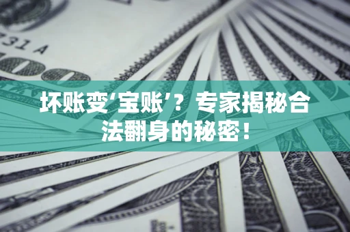 武汉坏账变‘宝账’？专家揭秘合法翻身的秘密！