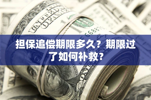 武汉担保追偿期限多久？期限过了如何补救？