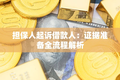 武汉担保人起诉借款人：证据准备全流程解析