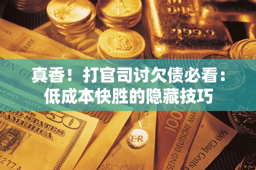 武汉真香！打官司讨欠债必看：低成本快胜的隐藏技巧