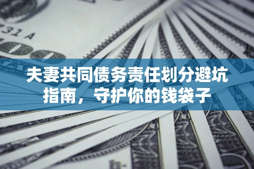 武汉夫妻共同债务责任划分避坑指南，守护你的钱袋子