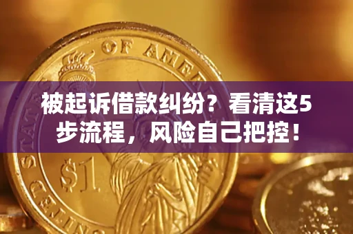 武汉被起诉借款纠纷？看清这5步流程，风险自己把控！