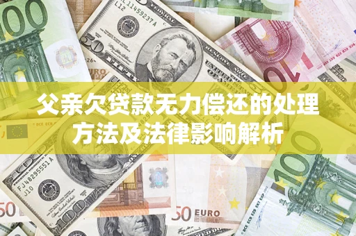武汉父亲欠贷款无力偿还的处理方法及法律影响解析
