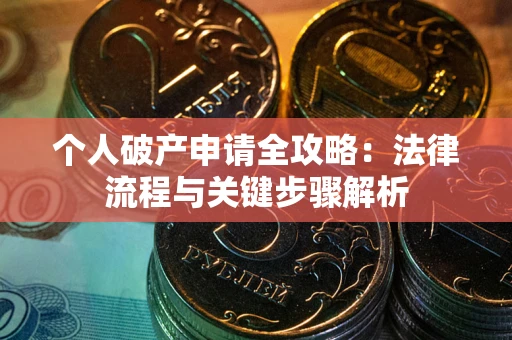 武汉个人破产申请全攻略：法律流程与关键步骤解析