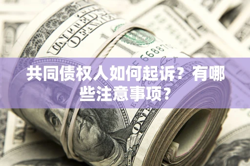 武汉共同债权人如何起诉？有哪些注意事项？
